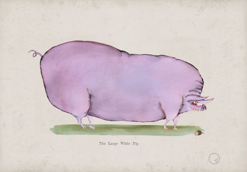 The Large White Pig, fun heritage art print by Tony Fernandes